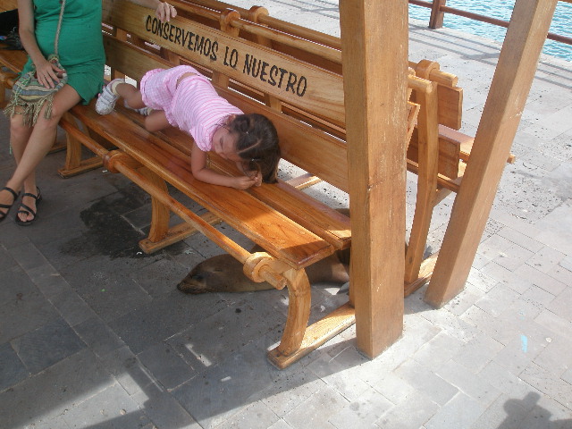 scr_maria.JPG