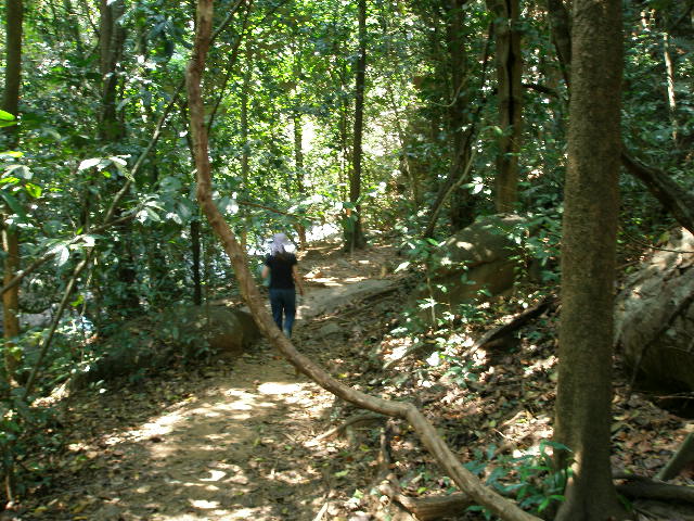 chicklet in np.JPG