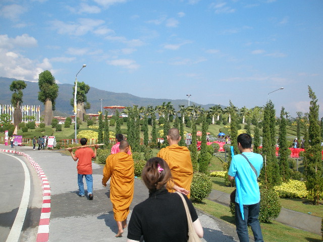 cm flower festival 1.JPG