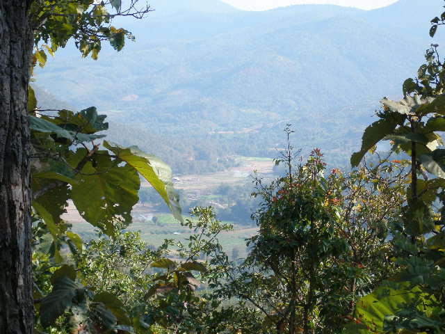cm landscape2.jpg