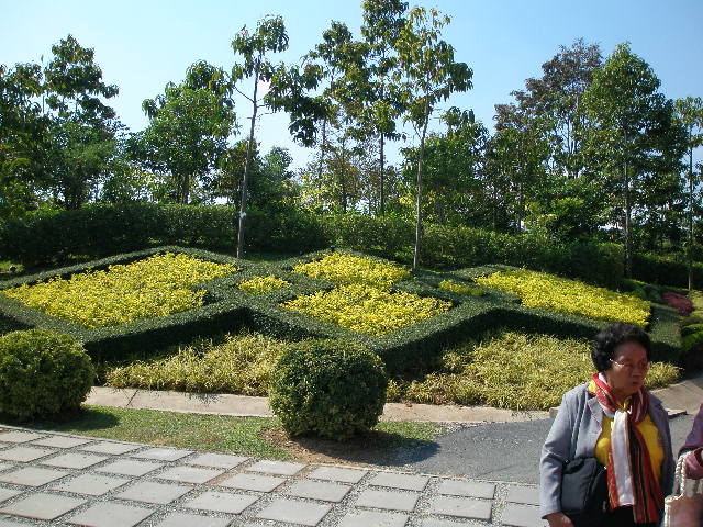 cmff10.JPG