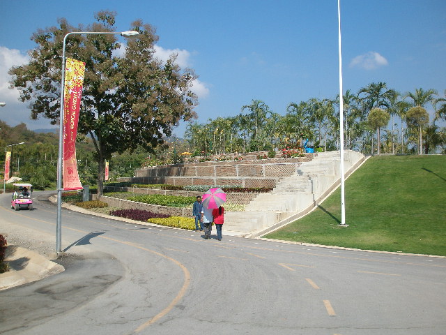 cmff6.JPG