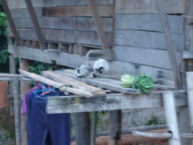 drying clothes.jpg