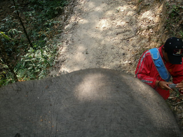 from above.jpg