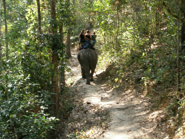 the group ahead.jpg