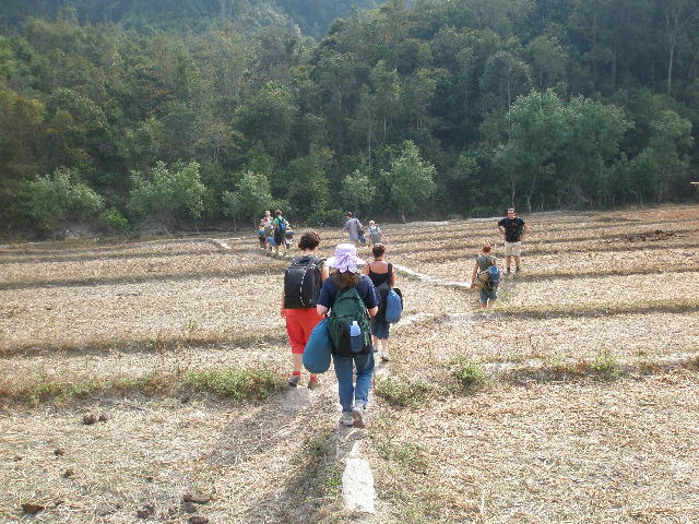 trekkers line.jpg