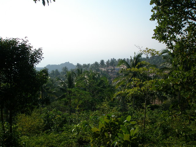 view from kt mountain.JPG