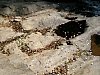 butterfly swarm2.JPG