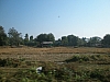 chiang mai from train.JPG
