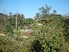 chiang mai trek.JPG