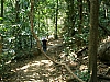 chicklet in np.JPG