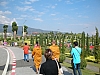 cm flower festival 1.JPG