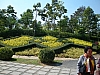 cmff10.JPG