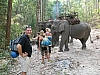 oliphants.jpg