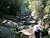 stream.JPG