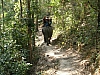 the group ahead.jpg
