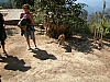 trekkers dog.JPG