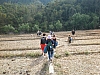 trekkers line.jpg