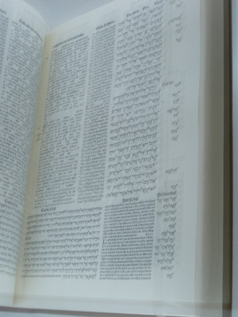mlm_torah.JPG