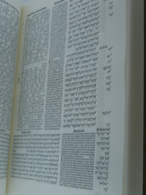 mlm_torah2.JPG