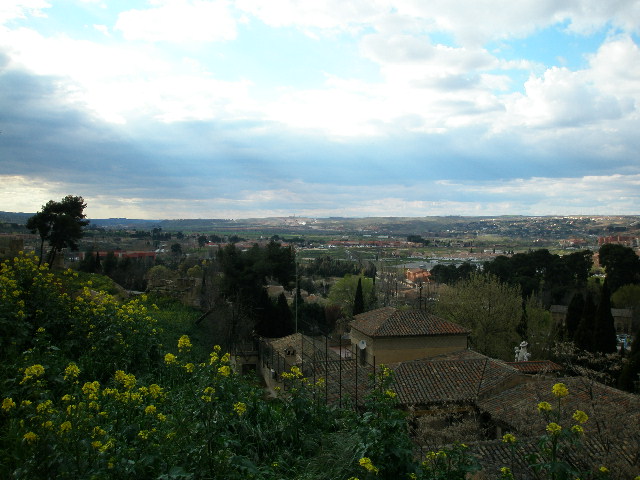 tdo_lanscape1.JPG